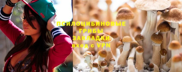 прущие крисы Абаза