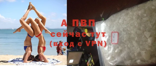 прущие крисы Абаза