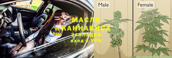 прущие крисы Абаза